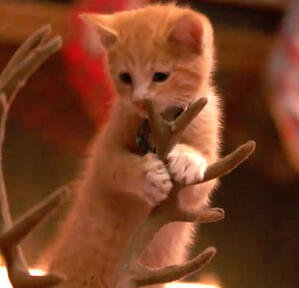 Arianna - 26/12/2021 by Lola