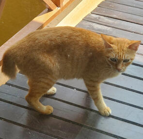 Mimosa - 31/07/2022 by Knighty