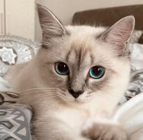 Max - 23/06/2021 by Seducifer