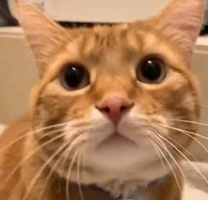 Jay - 26/01/2022 by Lia