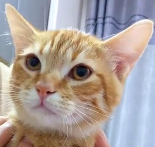 Satana - 29/12/2021 by Lia