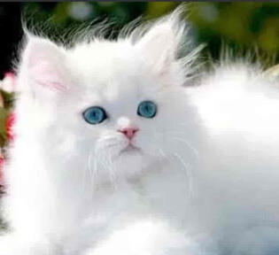 Azura - 06/09/2022 by Azian