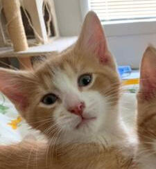 Malachi - 04/11/2022 by Shaitan